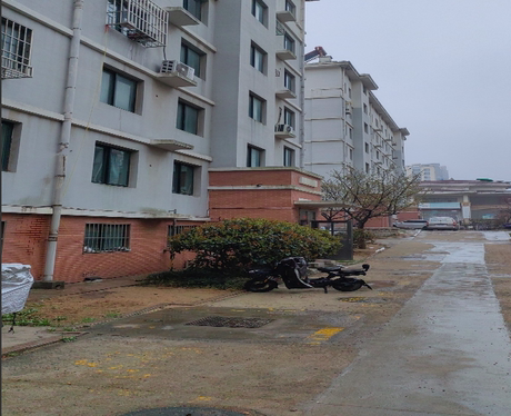 山东省青岛市黄岛区（原开发区）齐长城路1208号11栋1单元401户 可贷款此标的物可提供贷款，具体请查看详情中的银行信息